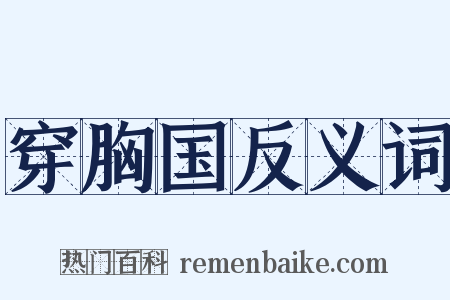 穿胸国反义词是什么意思的图片